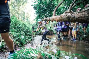 BIB: 
                            <button type="button" onclick="openModal(25472279)" class="btn btn-primary btn-sm float-right btn-popup" data-toggle="modal" data-target=".modal-high-quality">
                        <i class="fas fa-shopping-cart"></i> Add to Cart
                    </button>
                                            <button type="button" onclick="isThisMe(25472279, true)" class="btn btn-success btn-sm float-right btn-popup btn-isme hidden" data-toggle="tooltip" data-placement="bottom" title="นี่คือรูปของคุณใช่ไหม คลิกที่นี่เพื่อเอาเข้าอัลบั้ม">
                        <i class="fas fa-plus"></i> Add to album
                    </button>
                    <button type="button" onclick="isThisMe(25472279, false)" class="btn btn-warning btn-sm float-right btn-popup btn-isnotme hidden">
                        <i class="fas fa-ban"></i> Remove from album
                    </button>